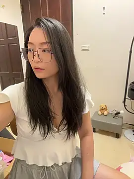 wt0314 webcam