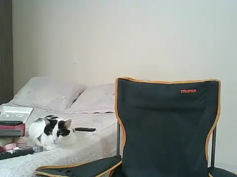 Victoria_club webcam