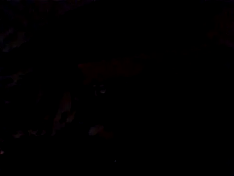 JJBATS