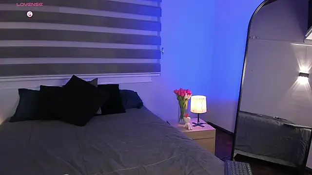 MERIDA_TAYLOR webcam
