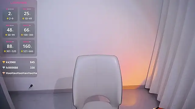dobilig webcam