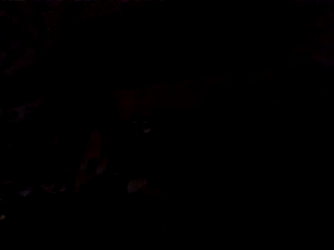 JJBATS webcam