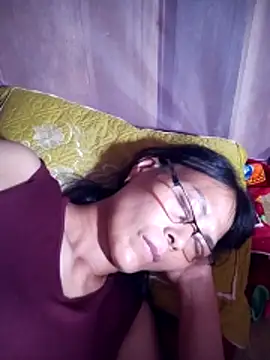 toyo_668 webcam