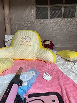 fuguangfei2 webcam