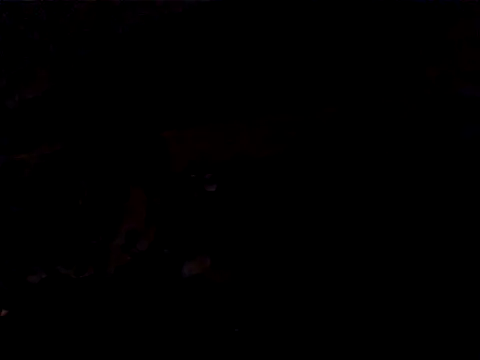 JJBATS