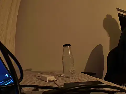 ALPHANDRE webcam