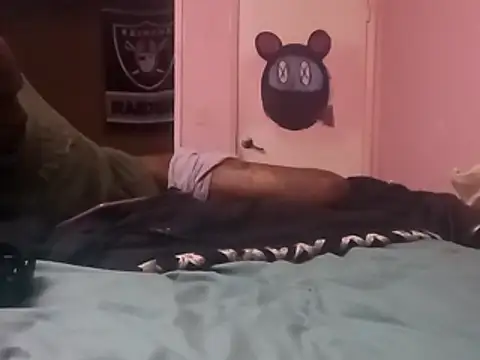Blkstylion webcam