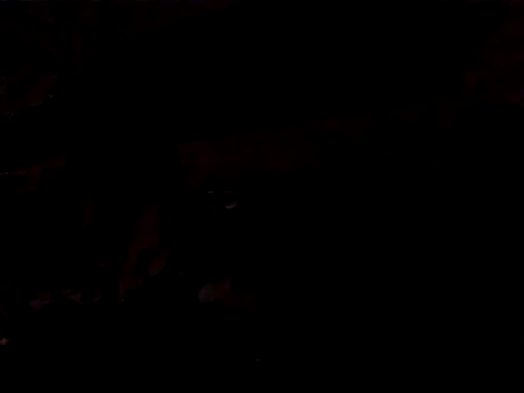 JJBATS