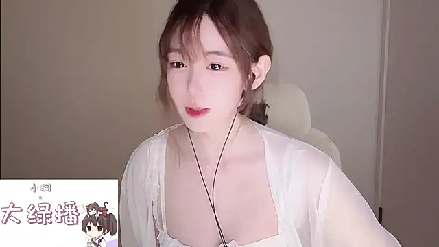 Ruuunn webcam