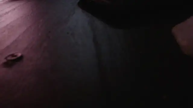 Raycatt1 webcam