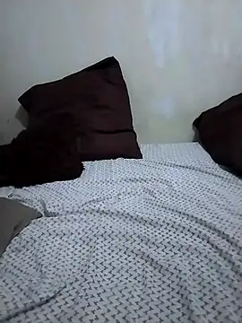 SteedyGee webcam