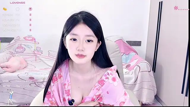 KylinKylin webcam