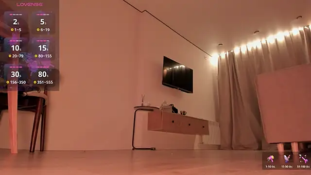 koyoomi webcam