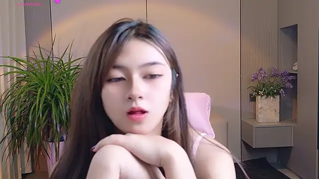 DoDo-2026 webcam