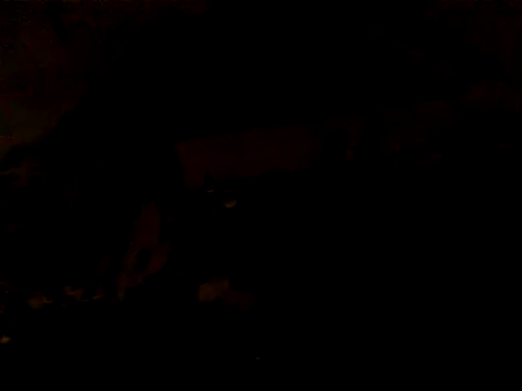 JJBATS webcam