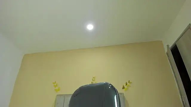 Nascary_Fox webcam