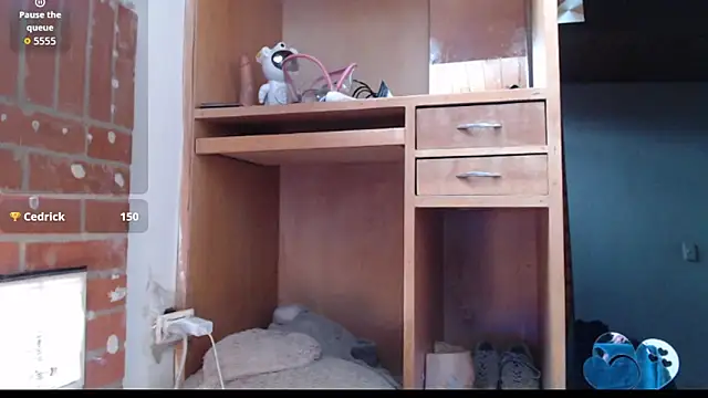 evolet01 webcam