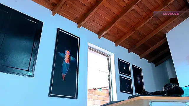 SilvaBranko webcam