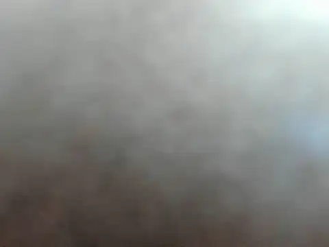 santiago_and_camila webcam