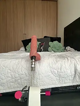 Nicollemays webcam