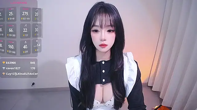 dobilig webcam