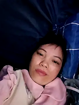 Sana-vn webcam