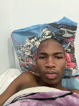 Sasinator webcam