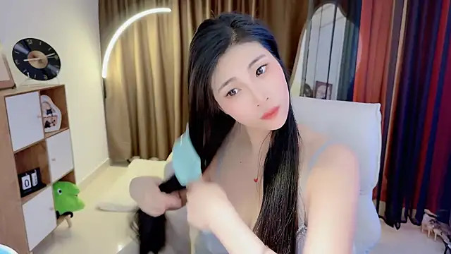 Vaidurya-Yolo webcam