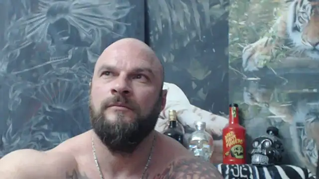 viking_30 webcam
