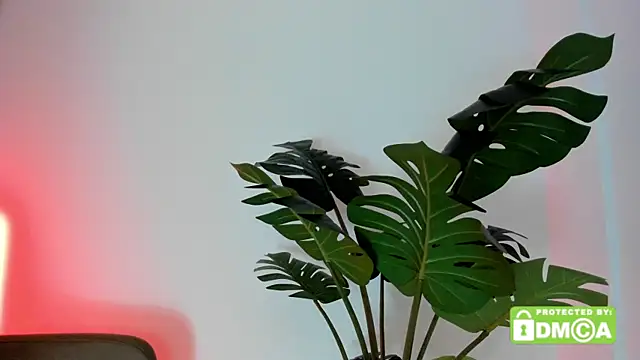 lovesweetash webcam