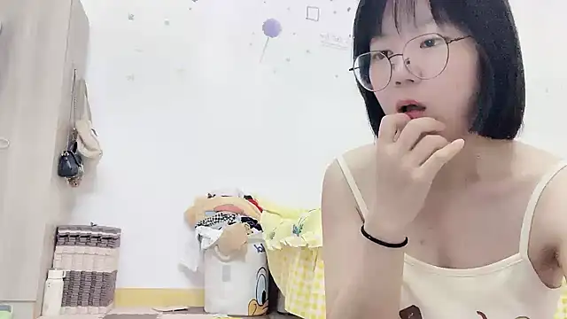 Belle-LL webcam