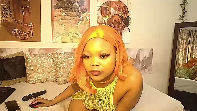 Tee_PhatAss webcam