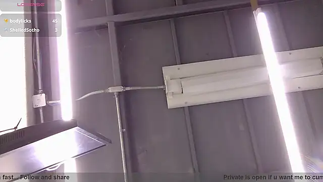 BustedCall webcam