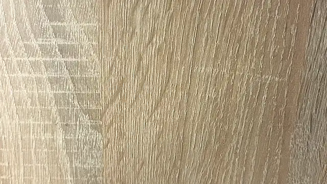 NoFace_Model live cam