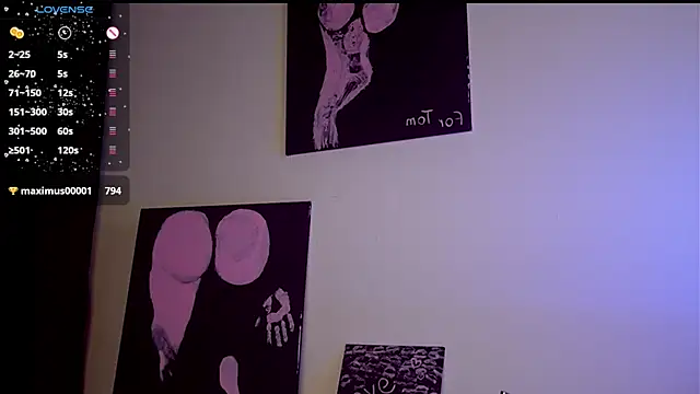 mary_lunar webcam