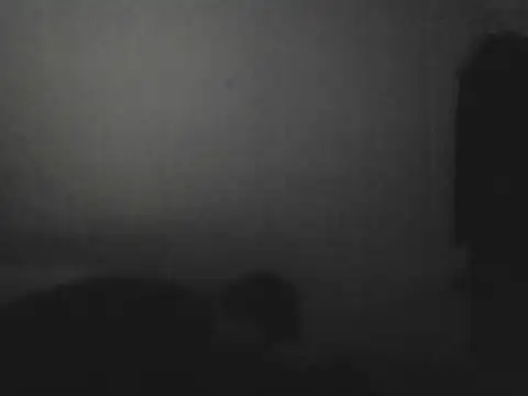 Bman3121 webcam