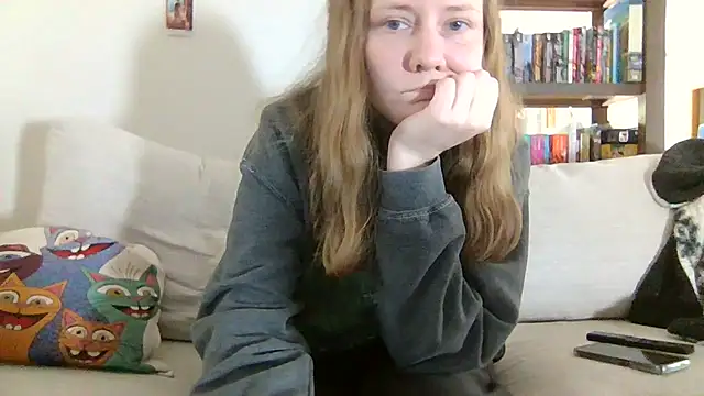 skywinters webcam