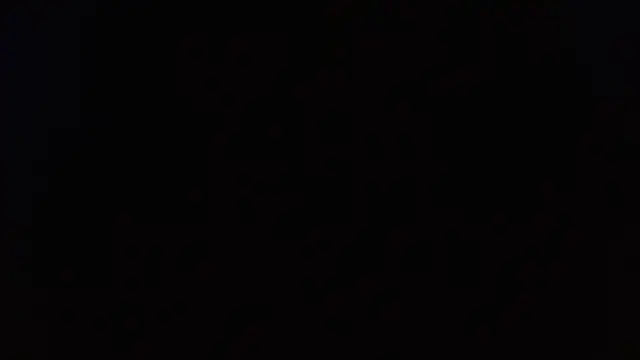 Pandora_9666 webcam