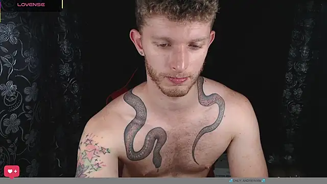 andrewxbi webcam