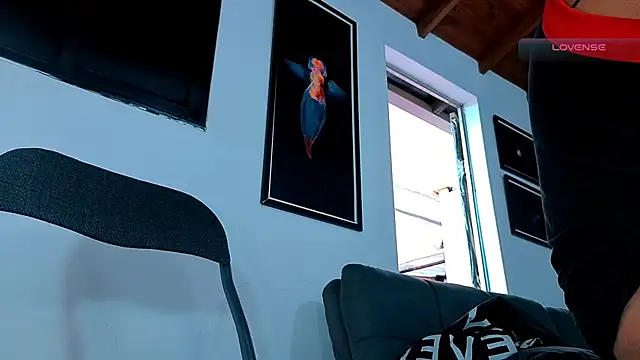SilvaBranko webcam