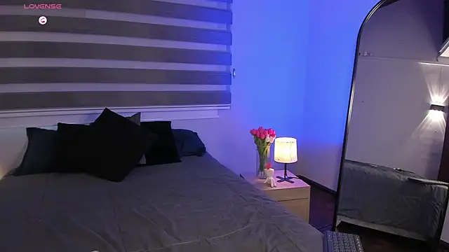 MERIDA_TAYLOR webcam