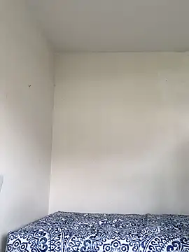 La-Gatiita-trans webcam