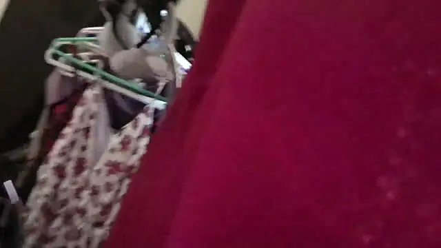 Johnny1991Blunt webcam