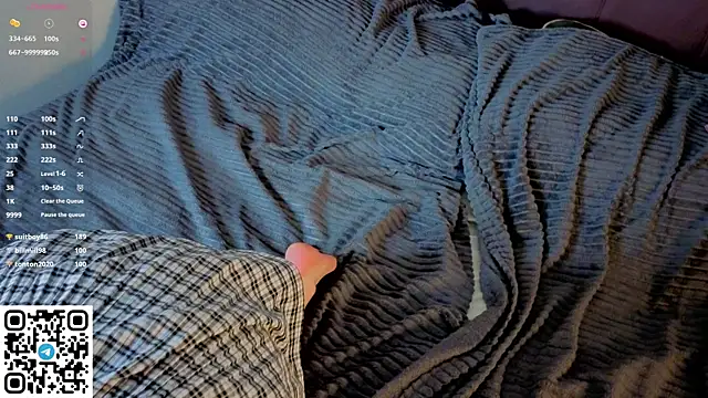 NerixalVire webcam