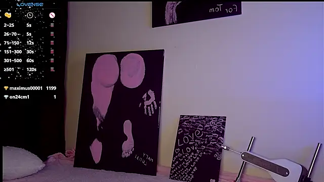 mary_lunar webcam