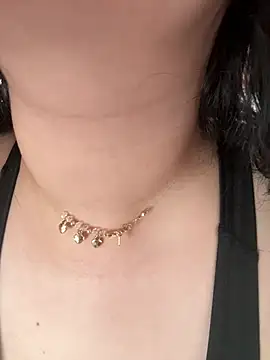 Siena_kai webcam