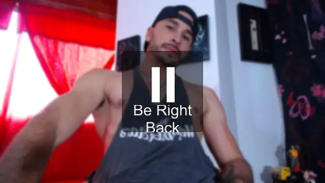 damn_fox webcam
