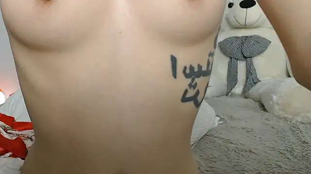 traxexe webcam