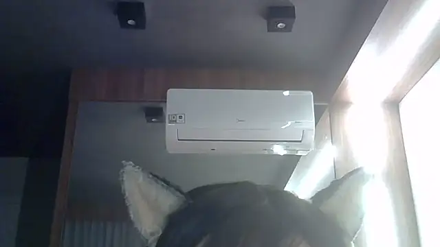 SkinnyKitten live cam