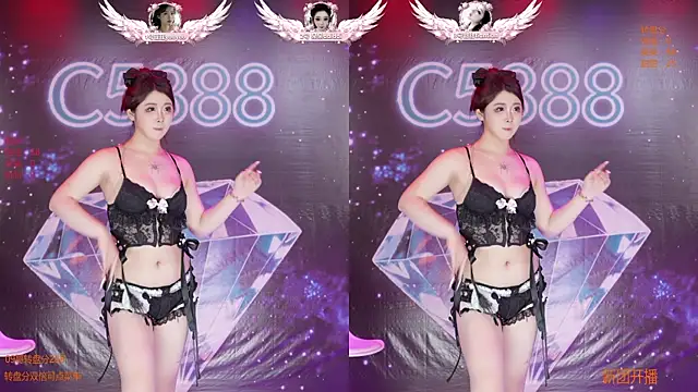 C5888 webcam